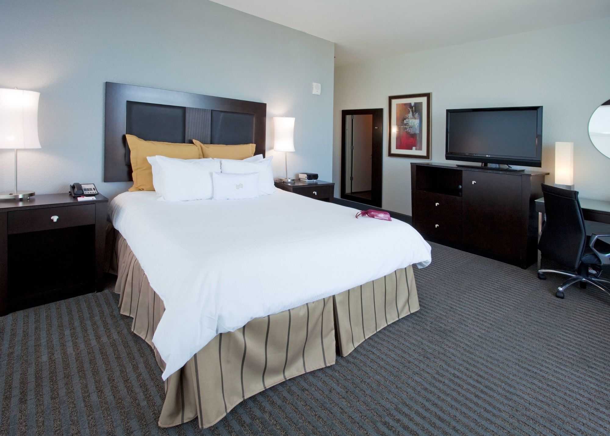 Hotel Alba Tampa, Tapestry Collection By Hilton Rum bild